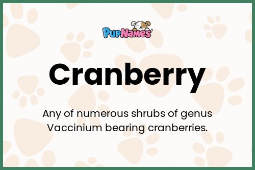 Cranberry dog name meaning