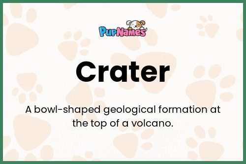 Crater dog name meaning