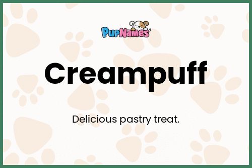 Creampuff dog name meaning