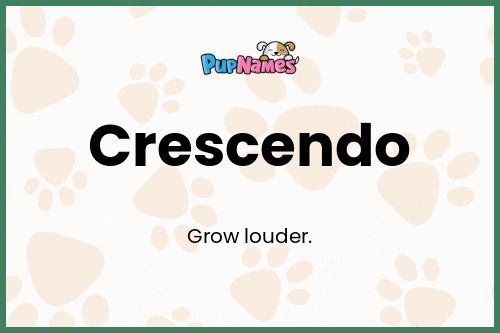 Crescendo dog name meaning