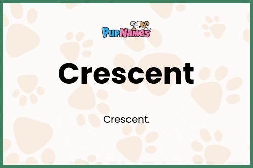 Crescent dog name meaning
