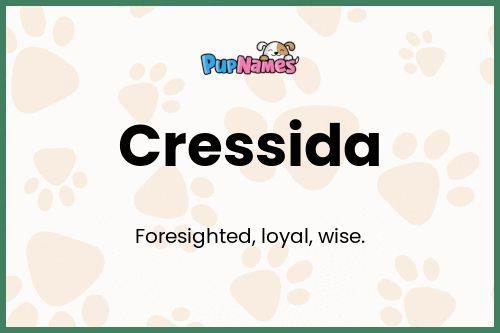 Cressida dog name meaning