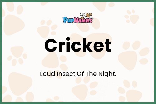 Cricket dog name meaning