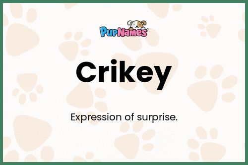 Crikey dog name meaning