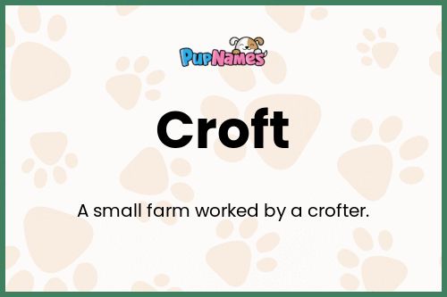 Croft dog name meaning