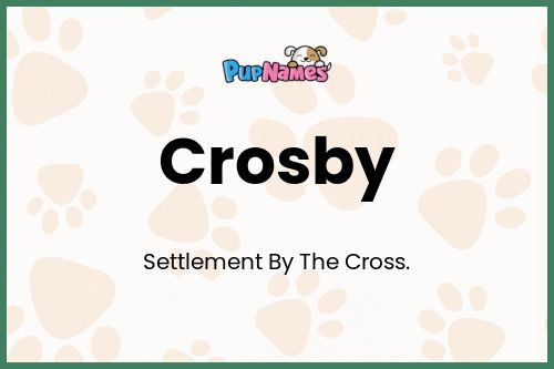 Crosby dog name meaning