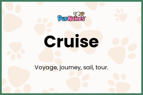 Cruise dog name meaning