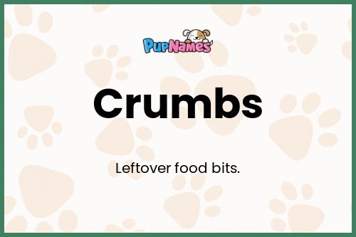 Crumbs dog name meaning