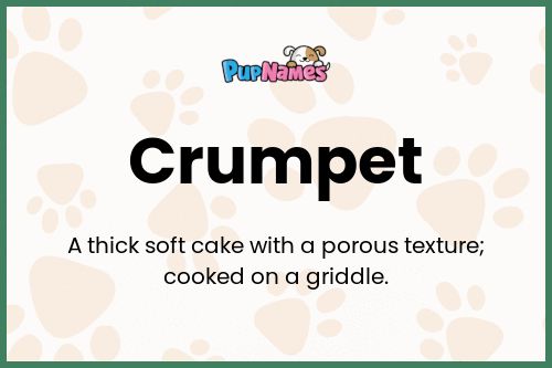 Crumpet dog name meaning