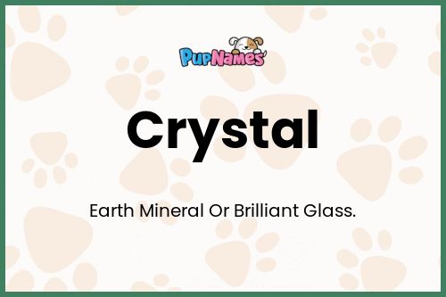 Crystal dog name meaning