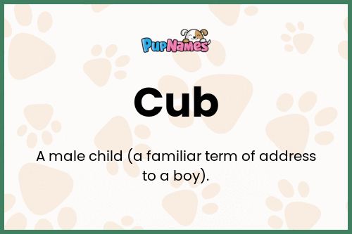 Cub dog name meaning