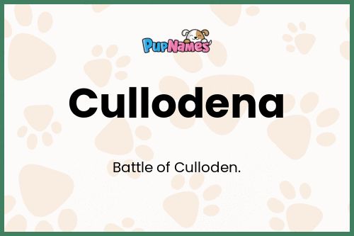 Cullodena dog name meaning