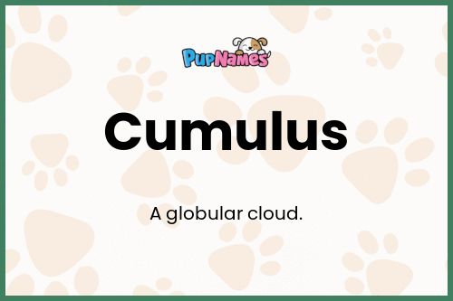 Cumulus dog name meaning