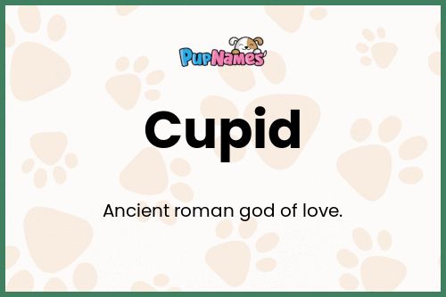 Cupid dog name meaning