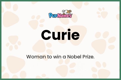 Curie dog name meaning