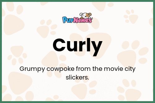 Curly dog name meaning