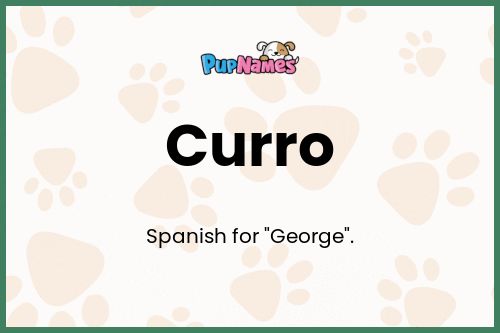 Curro dog name meaning