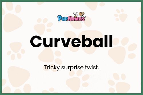 Curveball dog name meaning