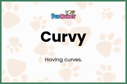 Curvy dog name meaning