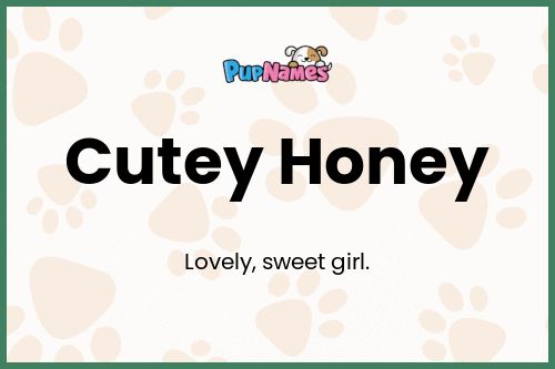 Cutey Honey dog name meaning
