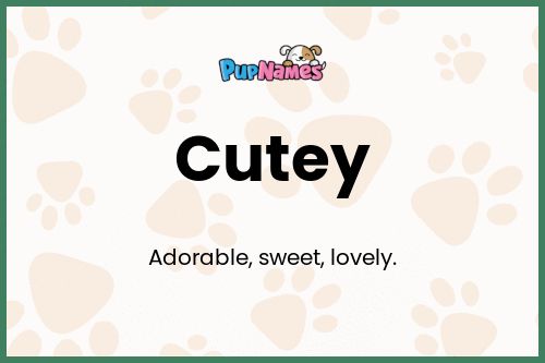 Cutey dog name meaning