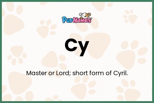 Cy dog name meaning