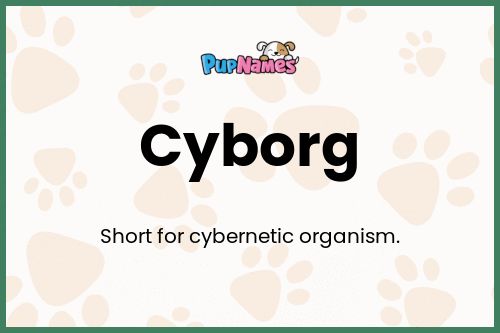 Cyborg dog name meaning