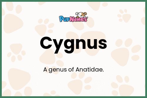 Cygnus dog name meaning