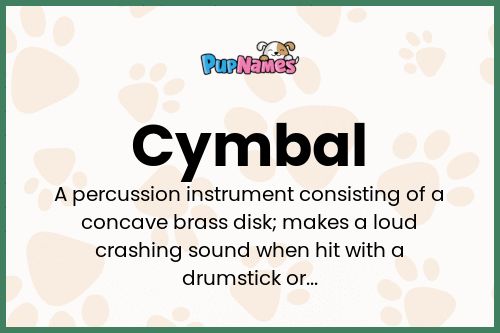 Cymbal dog name meaning