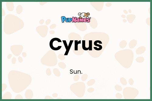 Cyrus dog name meaning