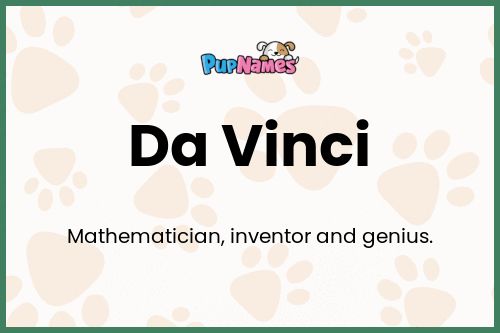 Da Vinci dog name meaning