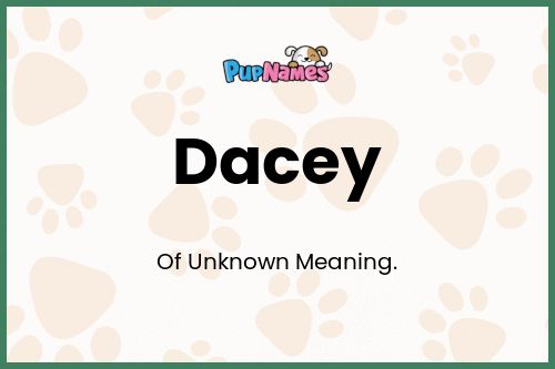 Dacey dog name meaning