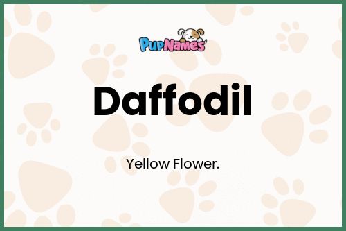 Daffodil dog name meaning