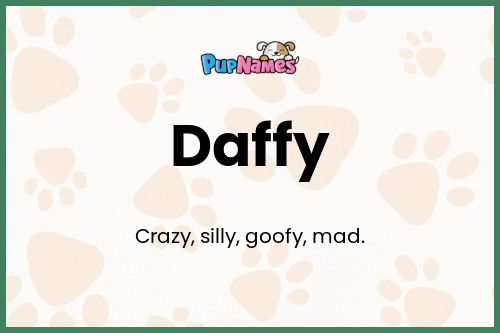 Daffy dog name meaning