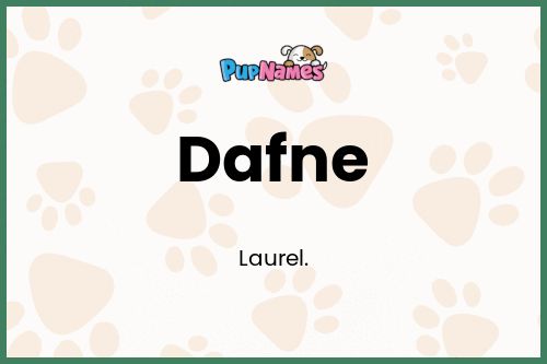 Dafne dog name meaning