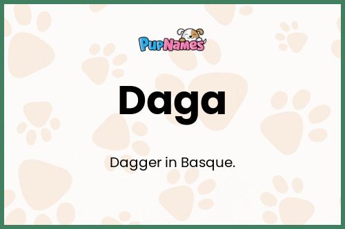 Daga dog name meaning