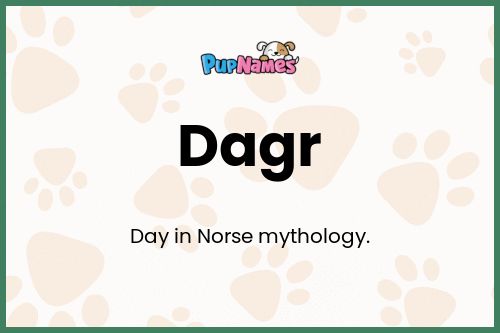 Dagr dog name meaning