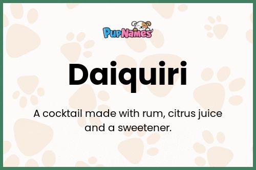 Daiquiri dog name meaning