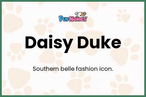 Daisy Duke dog name meaning