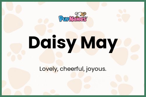 Daisy May dog name meaning