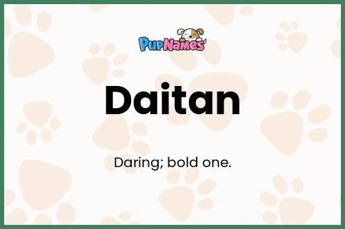 Daitan dog name meaning