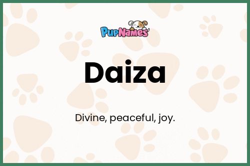 Daiza dog name meaning