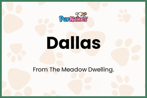 Dallas dog name meaning