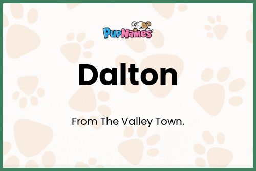 Dalton dog name meaning