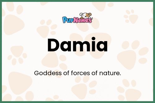 Damia dog name meaning