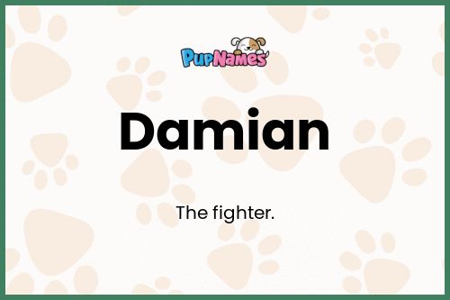 Damian dog name meaning