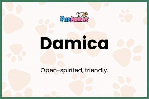 Damica dog name meaning