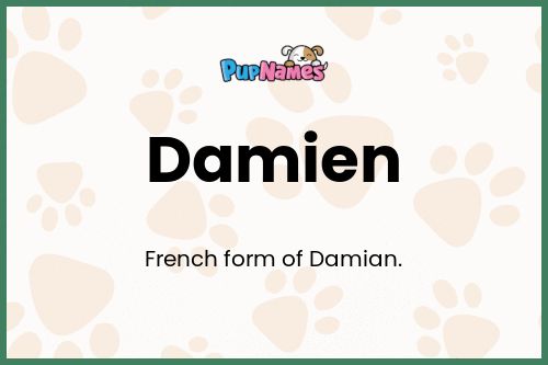 Damien dog name meaning