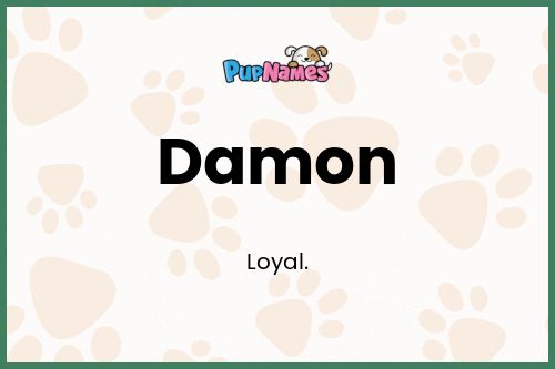 Damon dog name meaning