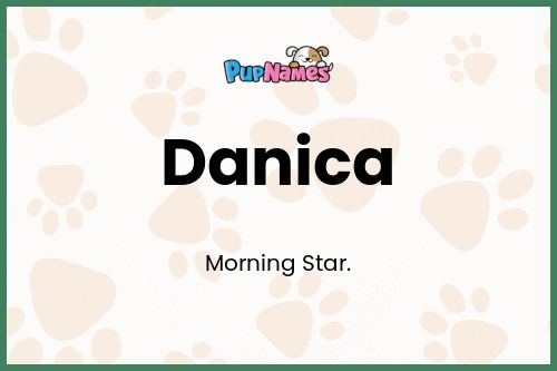 Danica dog name meaning